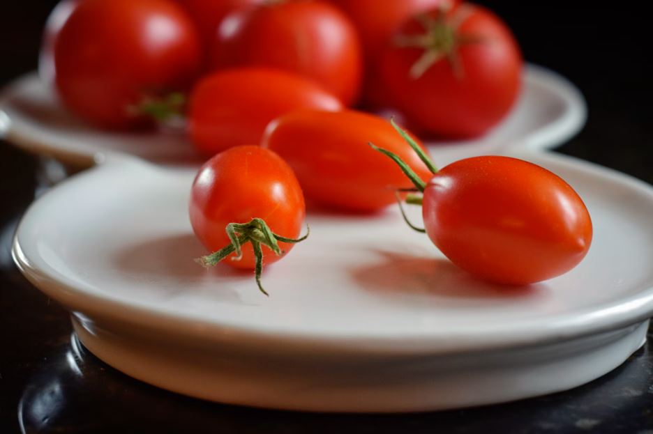 스테비아 방울토마토 효능